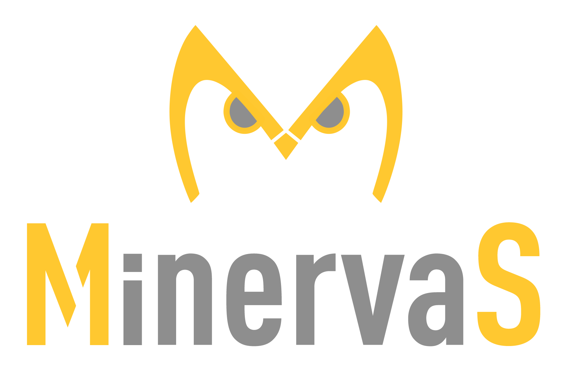 MinervaS s.r.l.